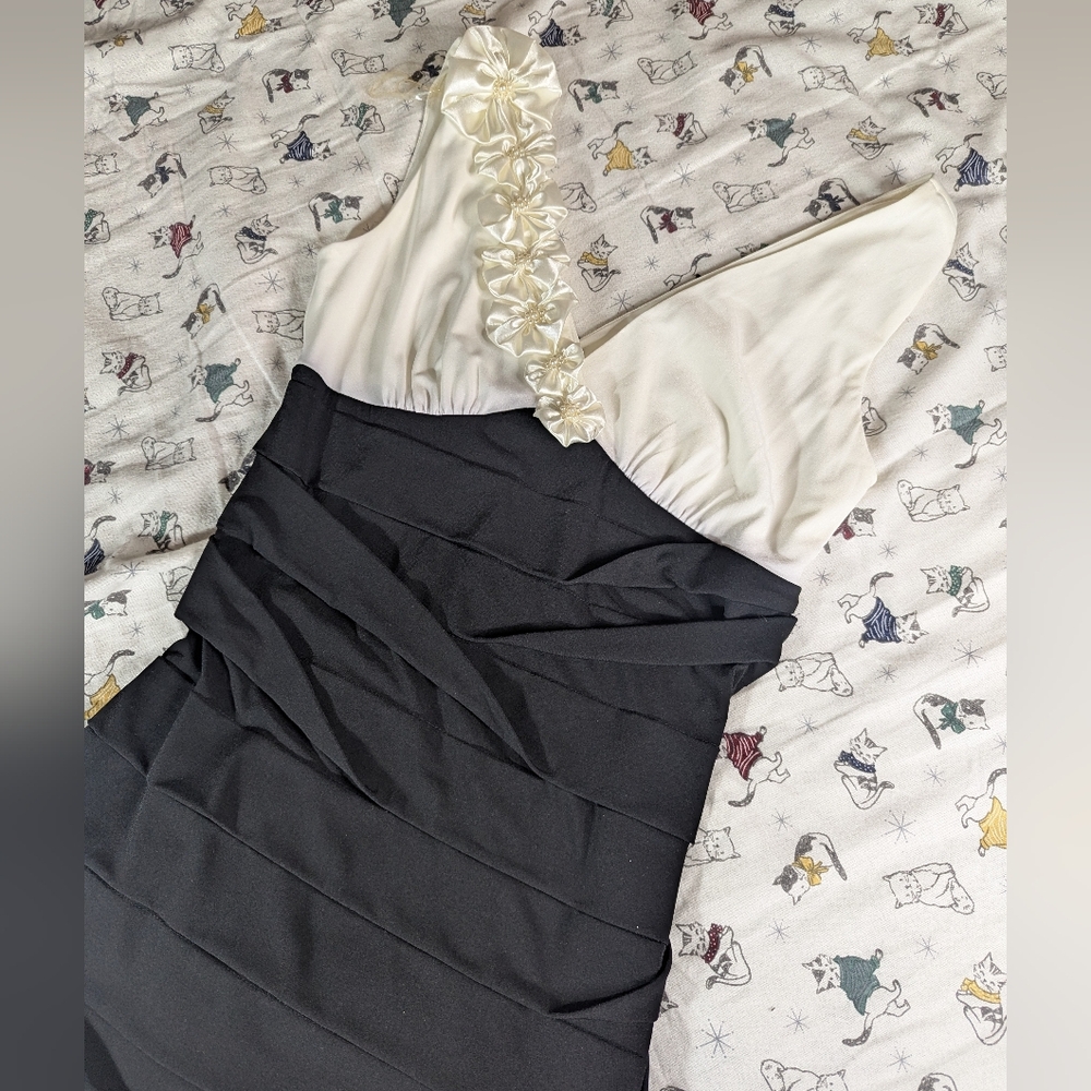 Formal Dress Size 10 Connected